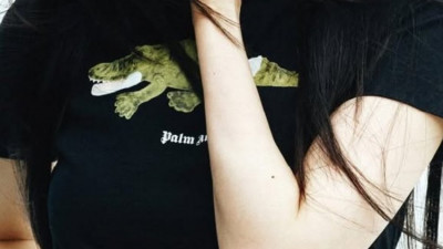 모델
