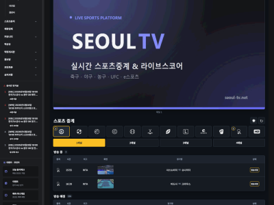 서울티비
